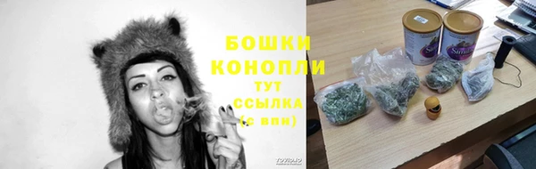 ешки Няндома