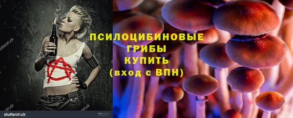 гашик Остров