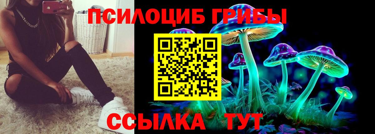 Галлюциногенные грибы мухоморы Рославль